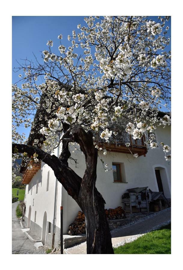 La Maison Abeil LʼArgentière-la-Bessée Εξωτερικό φωτογραφία