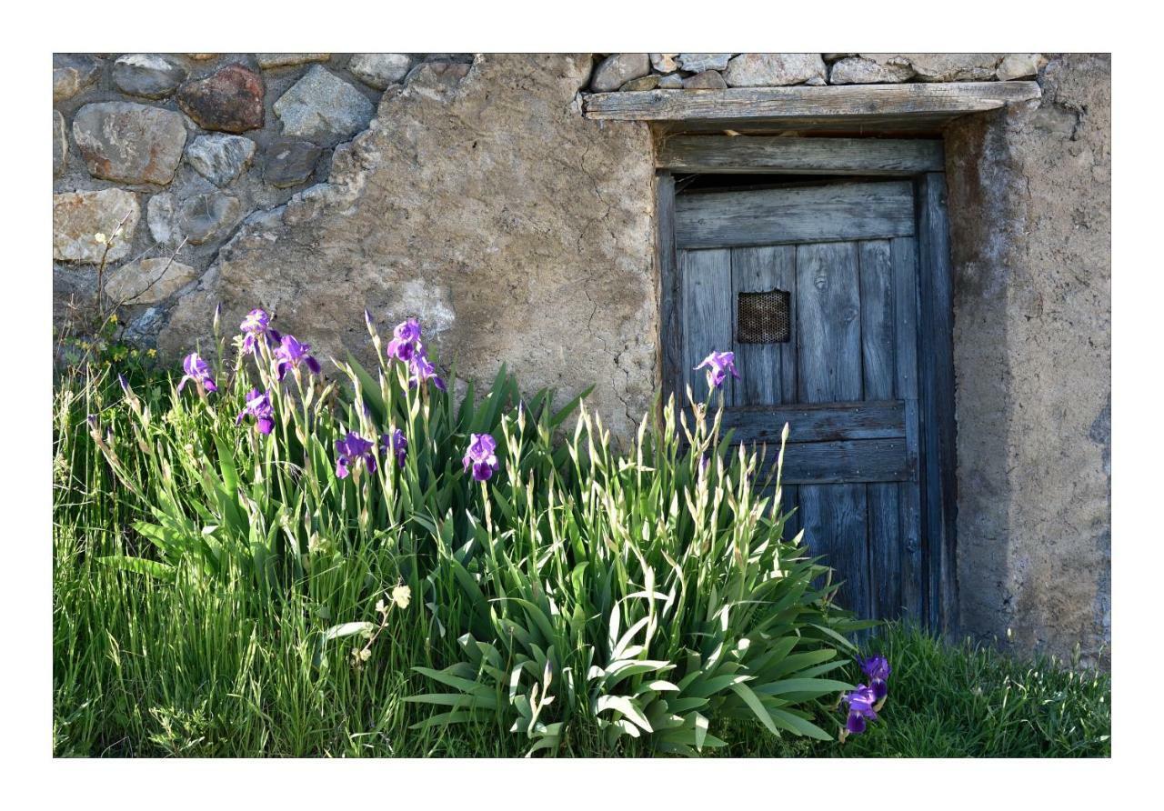 La Maison Abeil LʼArgentière-la-Bessée Εξωτερικό φωτογραφία
